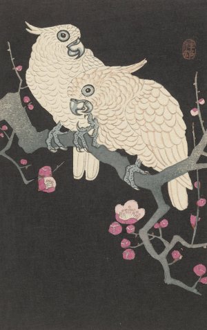 Two cockatoo and plum blossom by Ohara Koson Oil Painting