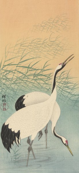 Two Cranes by Ohara Koson Oil Painting