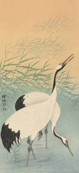 Two Cranes by Ohara Koson Oil Painting