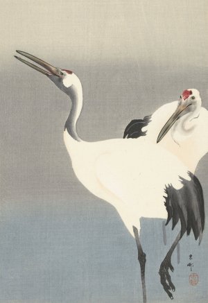 Two Cranes by Ohara Koson Oil Painting