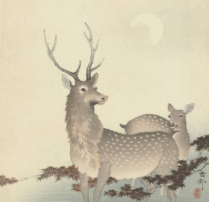 Two Deer by Ohara Koson Oil Painting