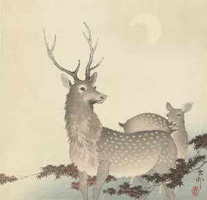 Two Deer Oil painting by Ohara Koson