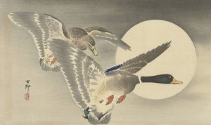 Two Ducks at full moon by Ohara Koson Oil Painting
