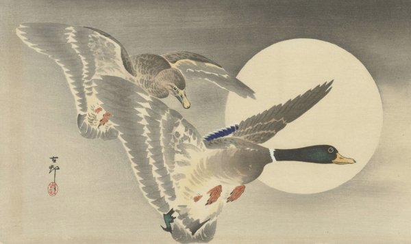 Two Ducks at full moon  by Ohara Koson - Hand-Painted Oil Painting Reproduction