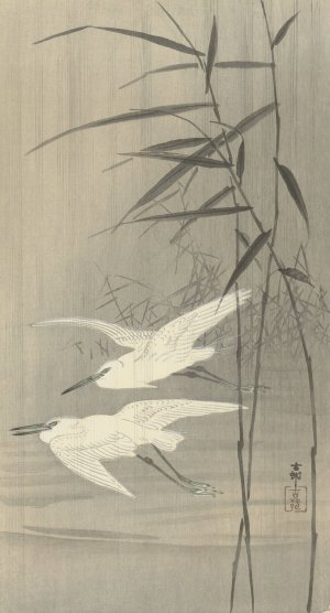 Two Egrets in Flight by Ohara Koson Oil Painting