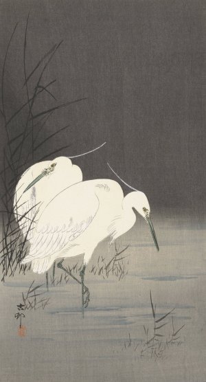 Two egrets in the reeds by Ohara Koson Oil Painting