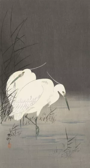 Two egrets in the reeds by Ohara Koson Oil Painting