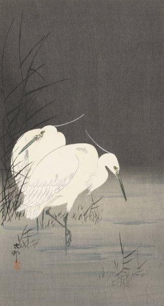 Two egrets in the reeds  by Ohara Koson - Hand-Painted Oil Painting Reproduction