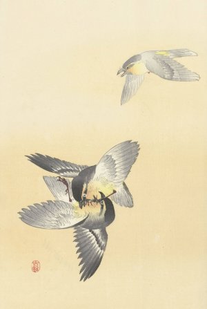 Two fighting birds by Ohara Koson Oil Painting