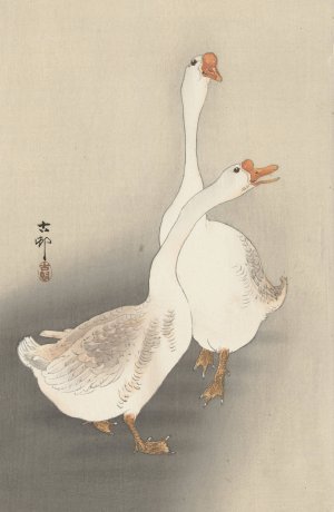 Two geese by Ohara Koson Oil Painting