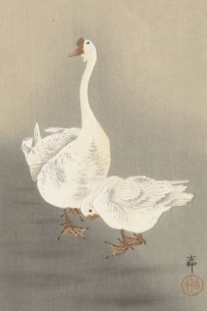 Two geese by Ohara Koson Oil Painting
