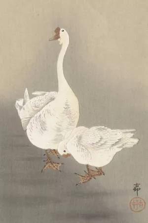 Two geese by Ohara Koson Oil Painting