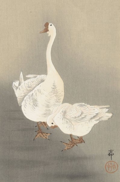 Two geese  by Ohara Koson - Hand-Painted Oil Painting Reproduction