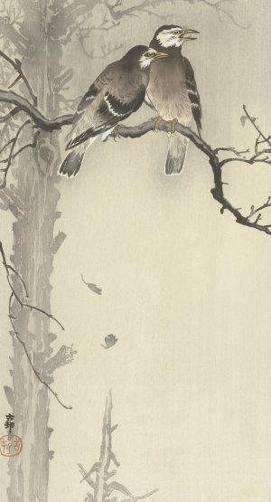 Two gray starlings by Ohara Koson Oil Painting