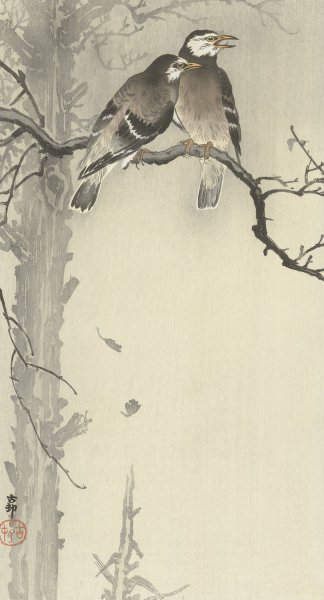 Main Product Photo of Two gray starlings  Painting by Ohara Koson