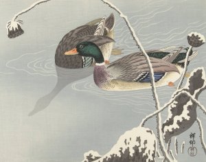Two Mallards near a Snow-Covered Lotus by Ohara Koson Oil Painting