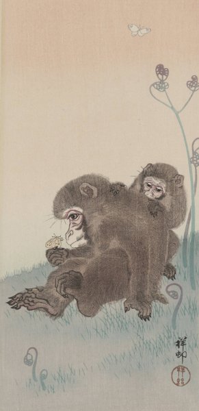 Two monkeys with butterfly by Ohara Koson Oil Painting