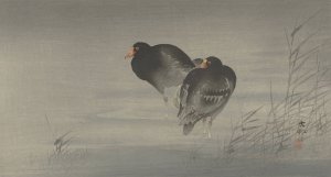 Two moorhens by Ohara Koson Oil Painting