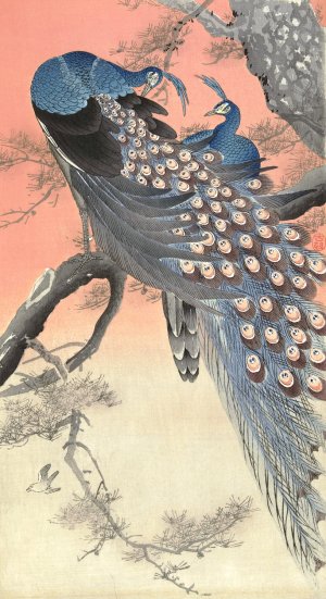 Two peacocks on tree branch by Ohara Koson Oil Painting