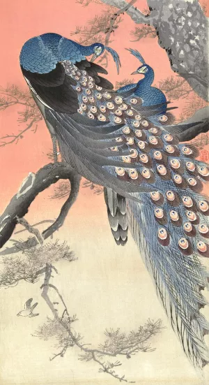 Two peacocks on tree branch by Ohara Koson Oil Painting