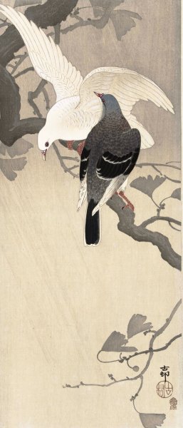 Two pigeons on a branch by Ohara Koson Oil Painting
