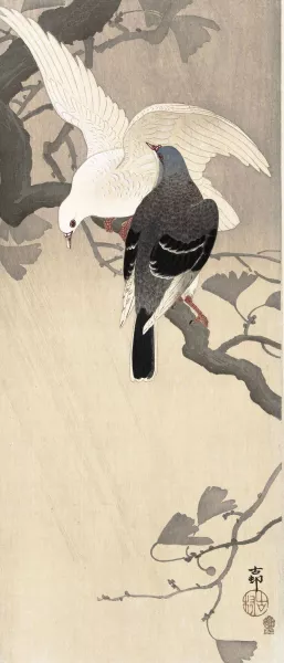 Two pigeons on a branch by Ohara Koson Oil Painting
