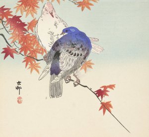 Two pigeons on autumnal branch by Ohara Koson Oil Painting