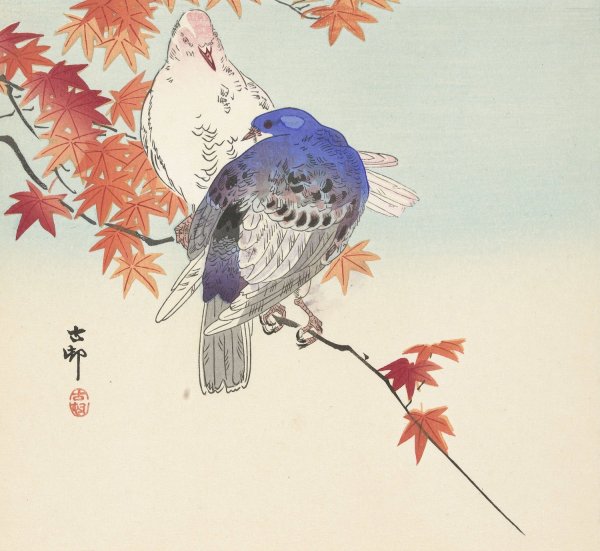 Two pigeons on autumnal branch  by Ohara Koson - Hand-Painted Oil Painting Reproduction