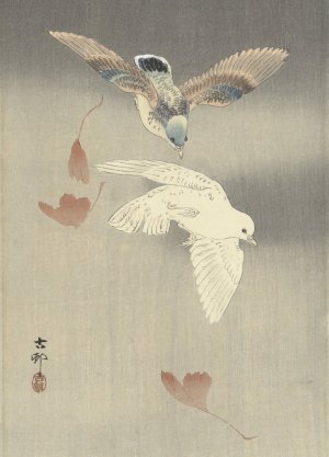 Two pigeons with falling ginkgo leaves by Ohara Koson Oil Painting
