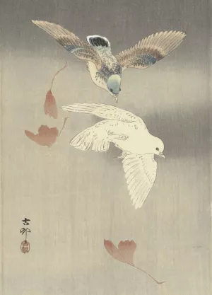 Two pigeons with falling ginkgo leaves by Ohara Koson Oil Painting