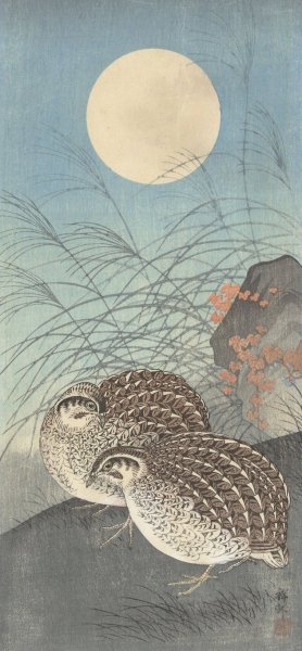 Two quail at full moon by Ohara Koson Oil Painting