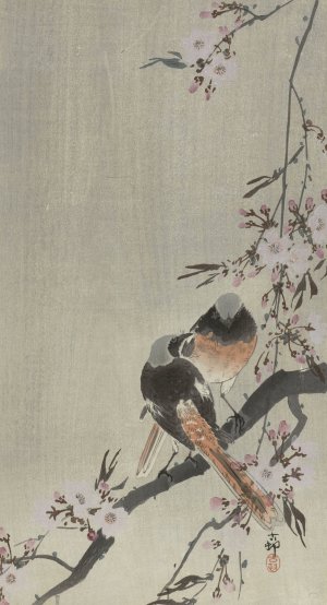 Two siegeled redtails with cherry blossom by Ohara Koson Oil Painting