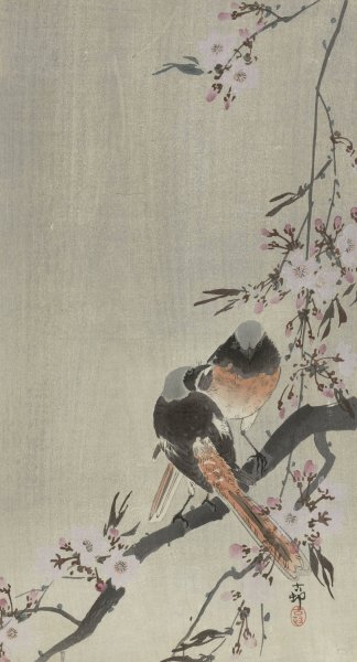 Two siegeled redtails with cherry blossom  by Ohara Koson - Hand-Painted Oil Painting Reproduction