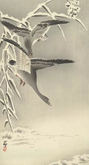 Two white-fronted geese in snowy landscape by Ohara Koson Oil Painting