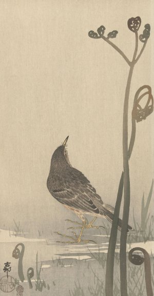 Water squeaker by Ohara Koson Oil Painting