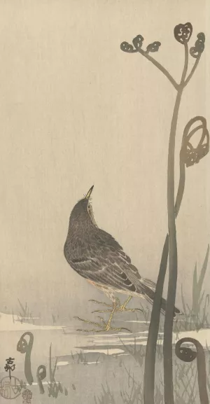 Water squeaker by Ohara Koson Oil Painting