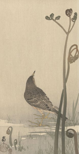 Water squeaker  by Ohara Koson - Hand-Painted Oil Painting Reproduction