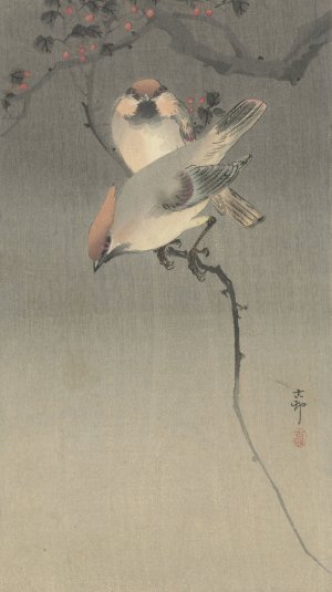 Waxwing birds by Ohara Koson Oil Painting