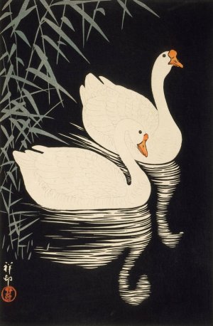 White Chinese Geese Swimming By Reeds by Ohara Koson Oil Painting