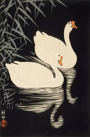 White Chinese Geese Swimming By Reeds by Ohara Koson Oil Painting
