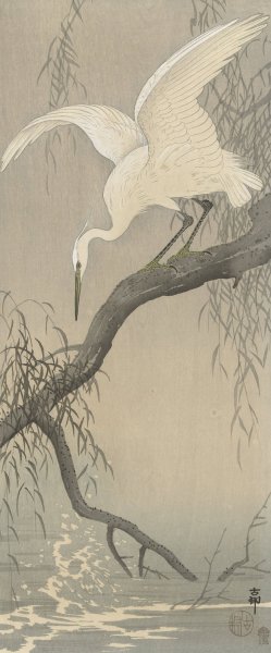 White heron on tree branch by Ohara Koson Oil Painting