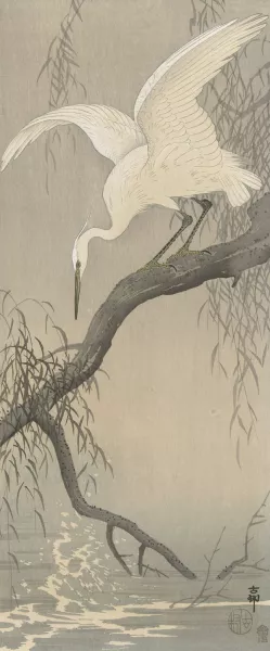 White heron on tree branch by Ohara Koson Oil Painting