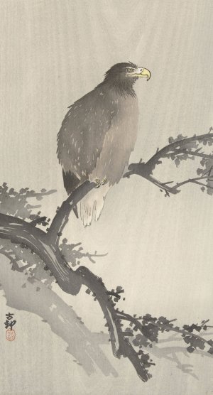 White-tailed eagle on branch by Ohara Koson Oil Painting
