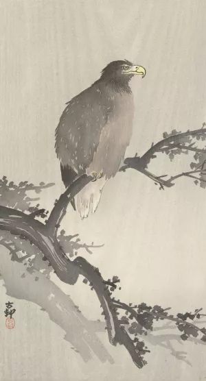 White-tailed eagle on branch by Ohara Koson Oil Painting