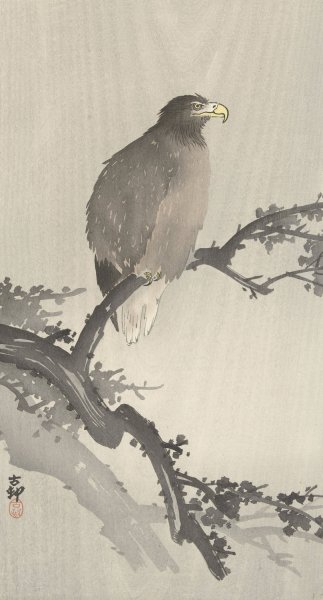 White-tailed eagle on branch  by Ohara Koson - Hand-Painted Oil Painting Reproduction