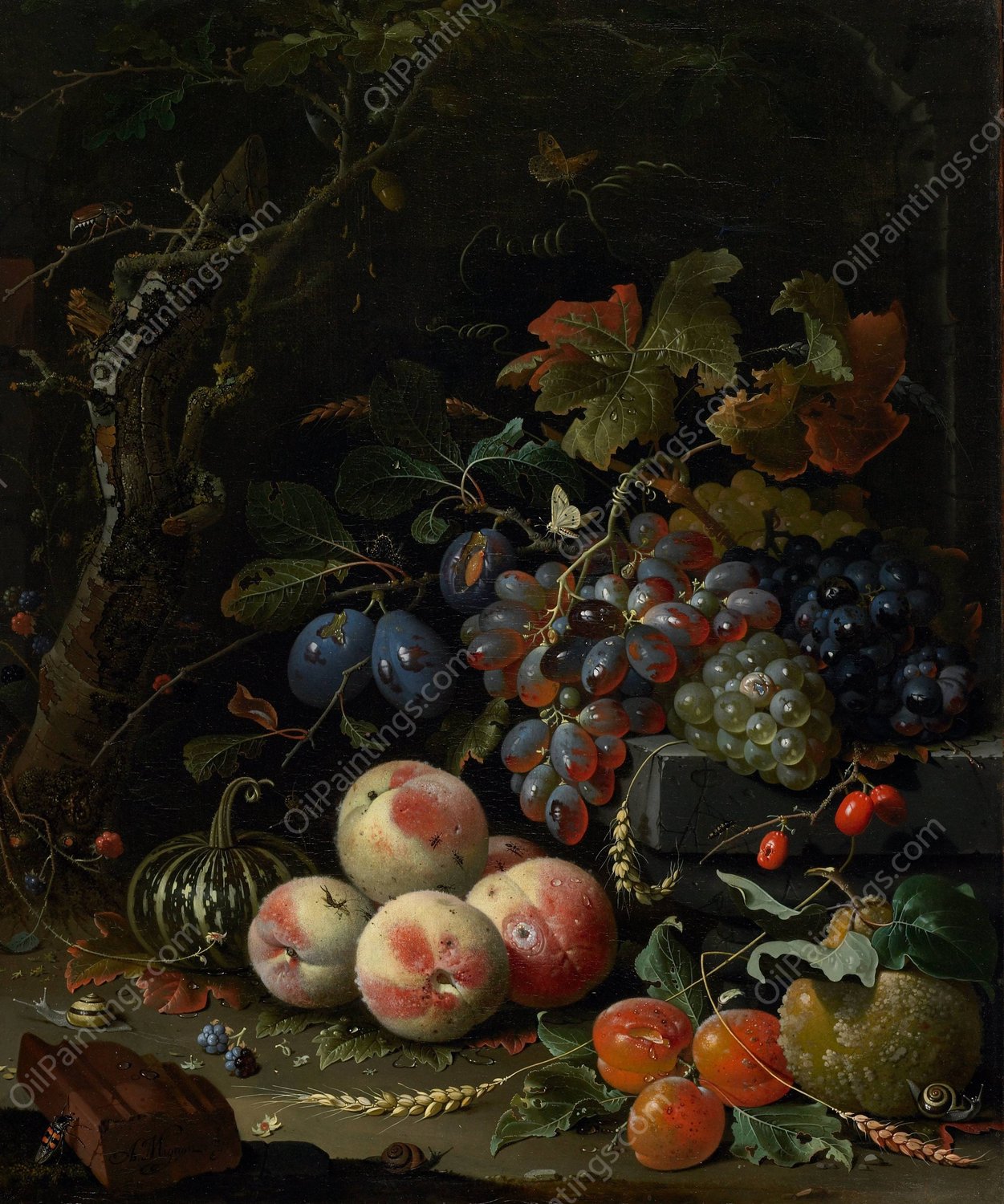 Still Life with Fruits, Foliage and Insects  by Abraham Mignon - Hand-Painted Oil Painting Reproduction