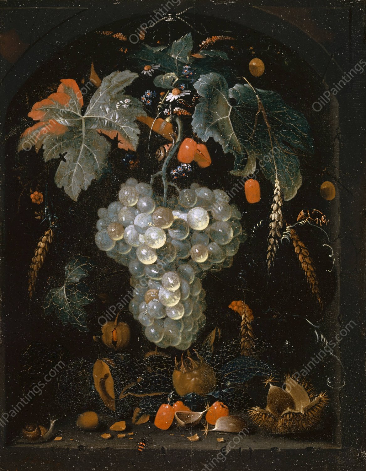 Still-Life With Grapes And Fruits In A Niche by Abraham Mignon - Hand-Painted Oil Painting Reproduction