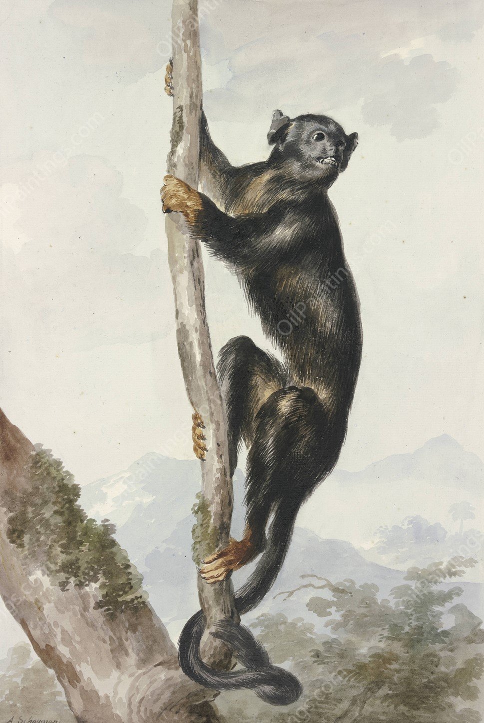 Bos duyvel  by Aert Schouman - Hand-Painted Oil Painting Reproduction