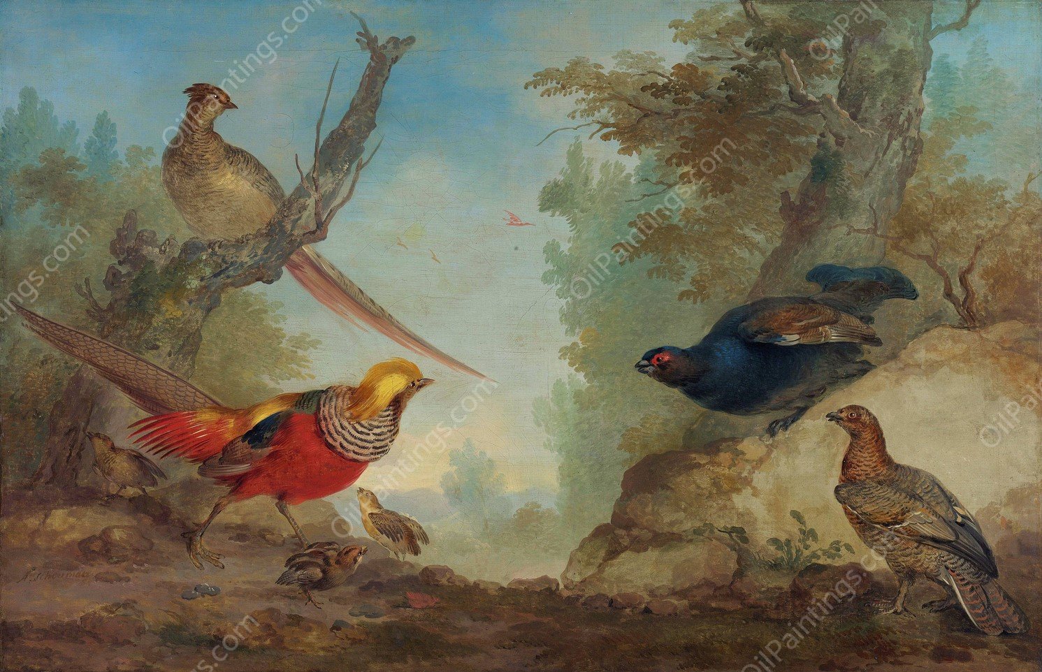 Pheasants  by Aert Schouman - Hand-Painted Oil Painting Reproduction