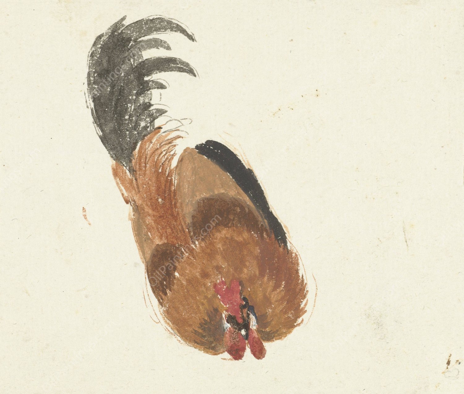 Studie van een dode haan  by Aert Schouman - Hand-Painted Oil Painting Reproduction